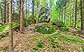 360° Foto Wald am Ruttensteinweg